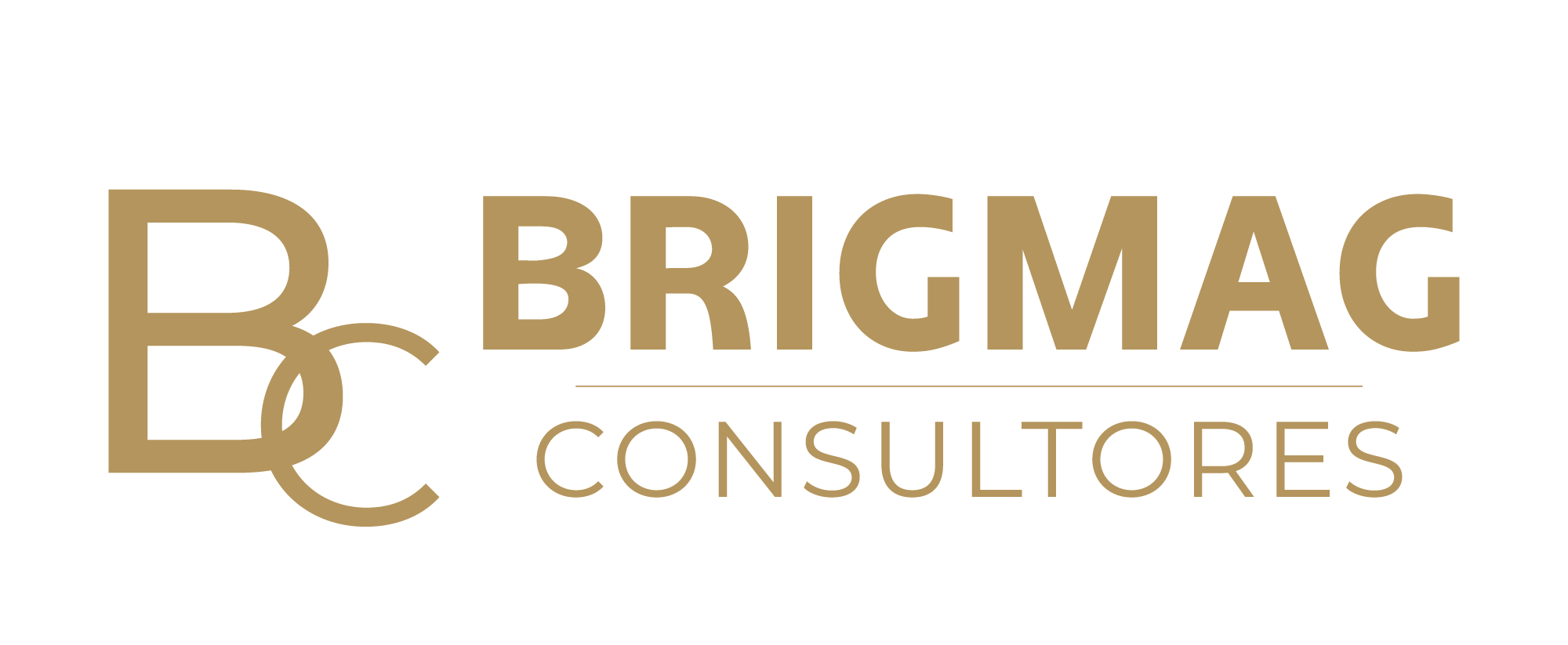 Brigmag logo